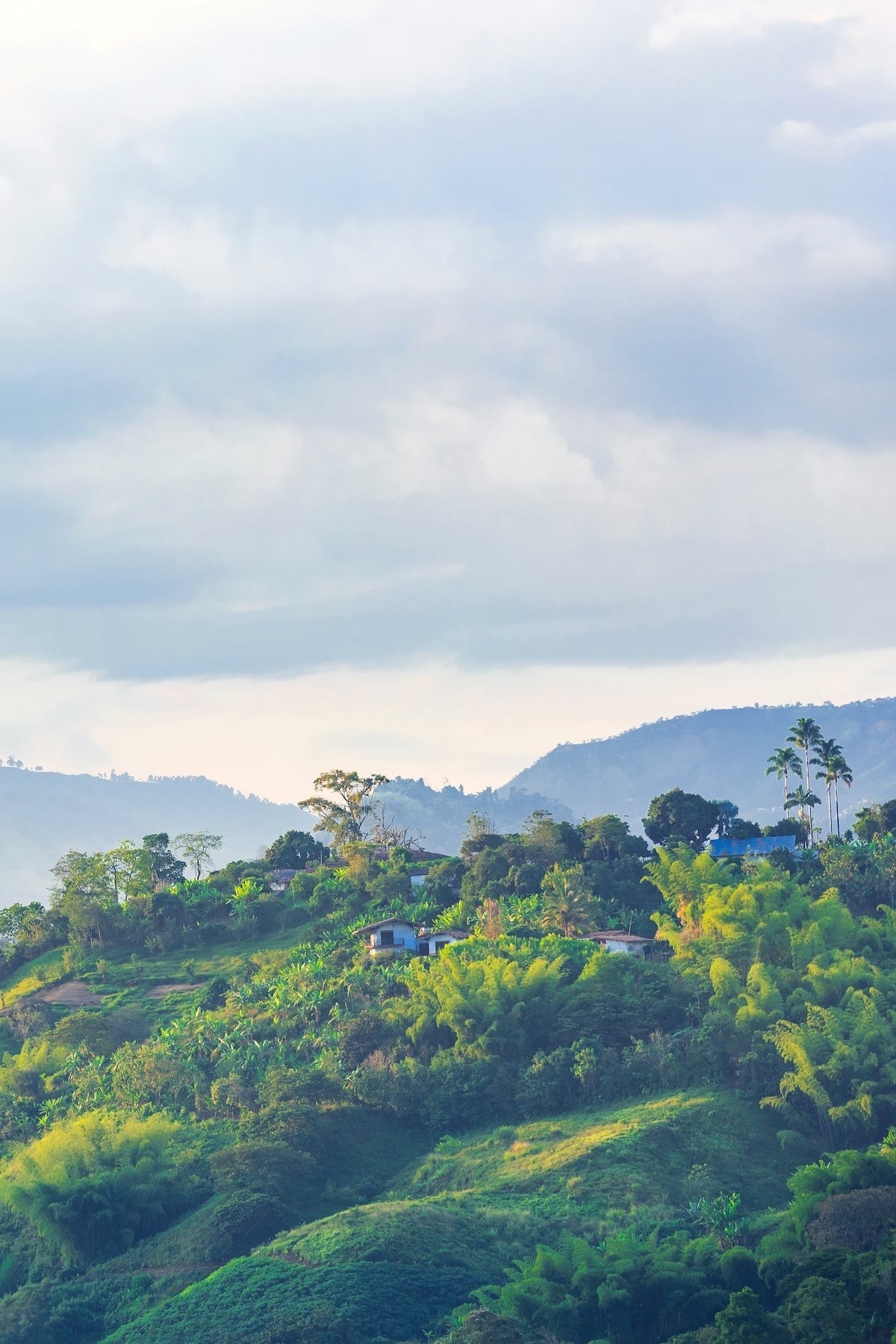 best-colombian-coffee-subscription-m.jpg